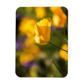 Danspoppies Magneet (Verticaal)