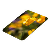 Danspoppies Magneet (Linkerzijde)