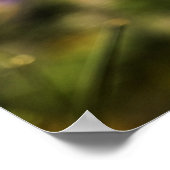 Danspoppies Poster (Hoek)