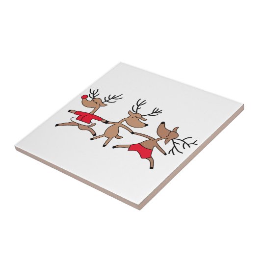 Dansrenrenrendier Tegeltje (Zijkant)