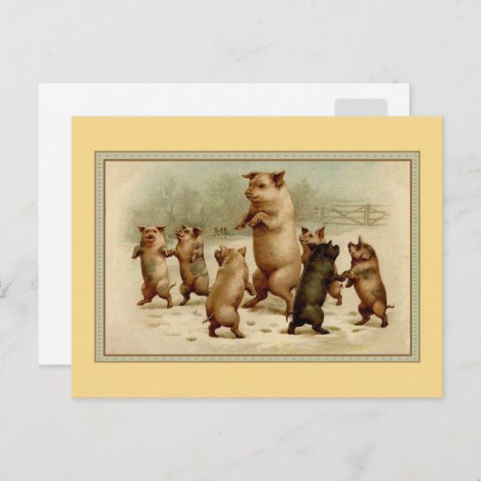 dansvarkens briefkaart (Voorkant / Achterkant)