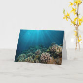 Danszonlicht Kaart (Gele Bloem)