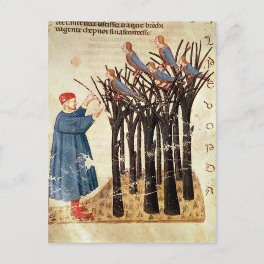 Dante en de Zielen Omgezet in Vogels Briefkaart (Voorkant)