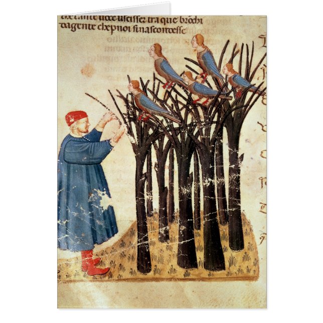 Dante en Souls omgevormd tot vogels (Voorkant)