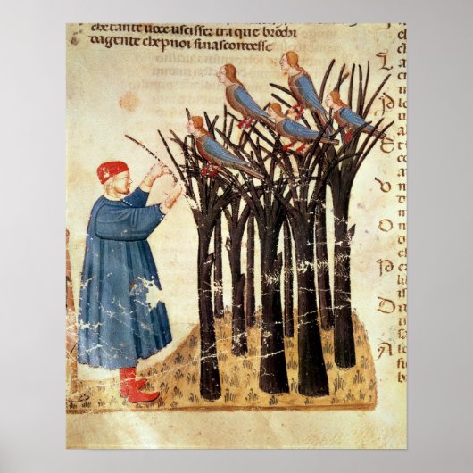 Dante en Souls omgevormd tot vogels Poster (Voorkant)