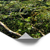 Danum Valley Borneo Regenwoud Jungle Scene Poster (Hoek)
