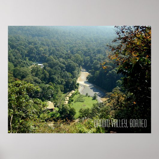Danum Valley Borneo Regenwoud Jungle Scene Poster (Voorkant)