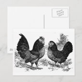 d'Anver Club Briefkaart (Voorkant / Achterkant)