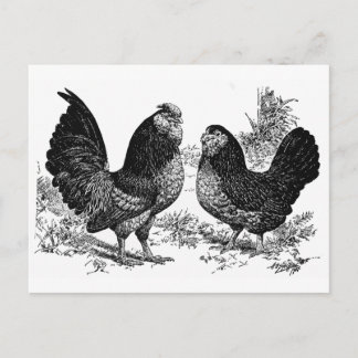 d'Anver Club Briefkaart