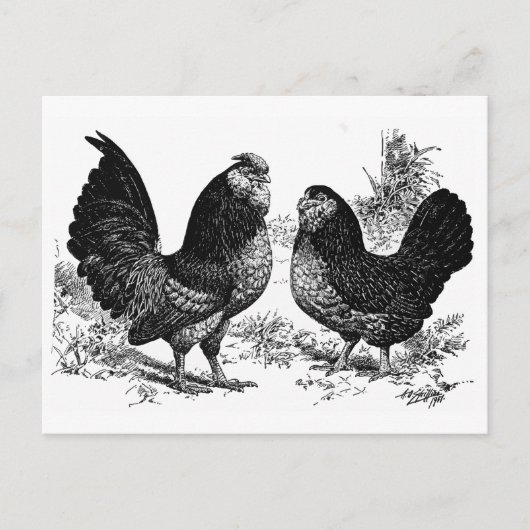 d'Anver Club Briefkaart (Voorkant)