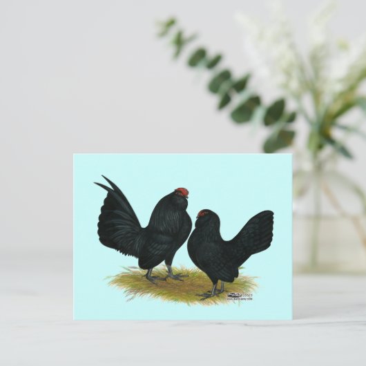 D'Anvers Black Bantams Briefkaart (Staand voorkant)