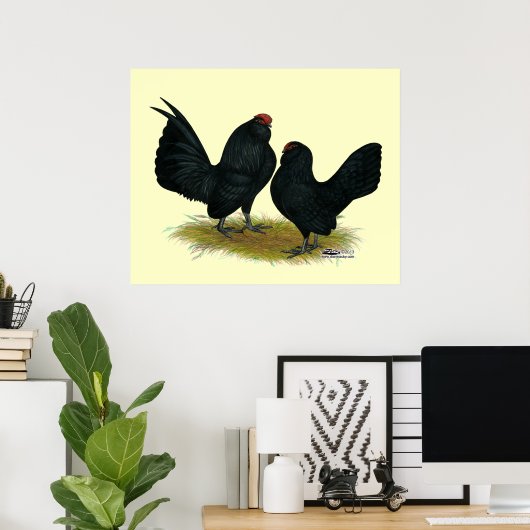 D'Anvers Black Bantams Poster (Thuiskantoor)