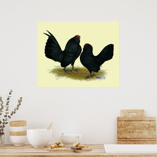 D'Anvers Black Bantams Poster (Keuken)