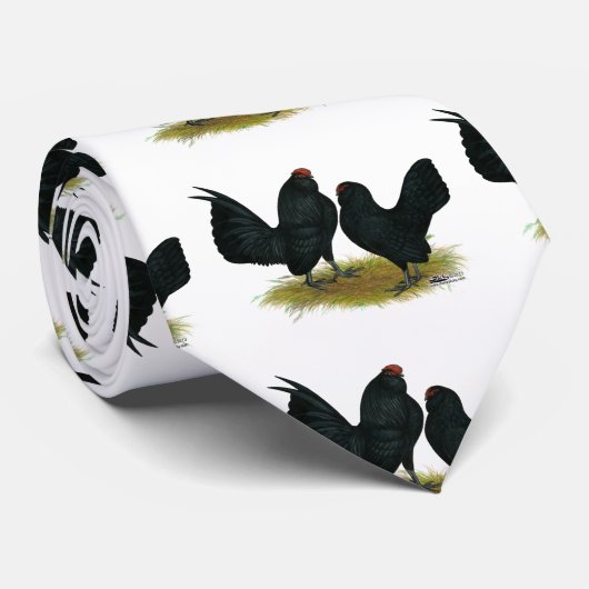 D'Anvers Black Bantams Stropdas (Opgerold)