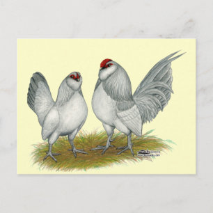 D'Anvers Self Blue Bantams Briefkaart