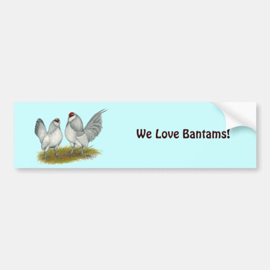 D'Anvers Self Blue Bantams Bumpersticker (Voorkant)