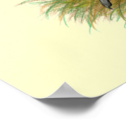 D'Anvers Self Blue Bantams Poster (Hoek)