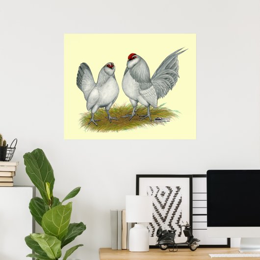 D'Anvers Self Blue Bantams Poster (Thuiskantoor)