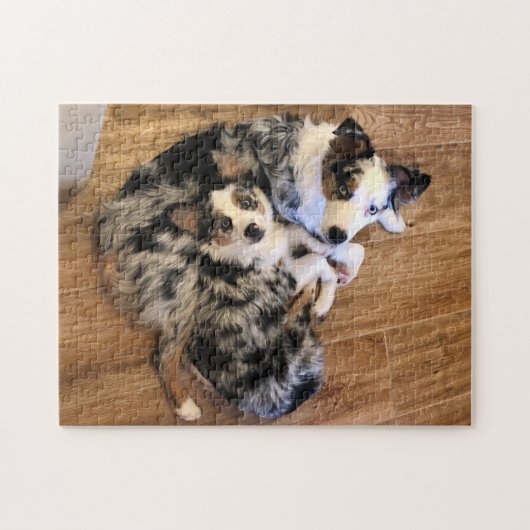 Dany en Lily Mini Aussies Puzzel Legpuzzel (Horizontaal)