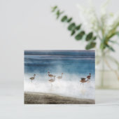 Danza de Flamencos, Salar de Uyuni, Bolivia. Briefkaart (Staand voorkant)