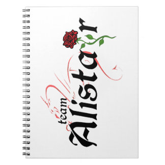 DAO-Team ALISTAIR. Notitieboek