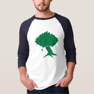 DAoC Hibernia - Mannen Raglan T-Shirt