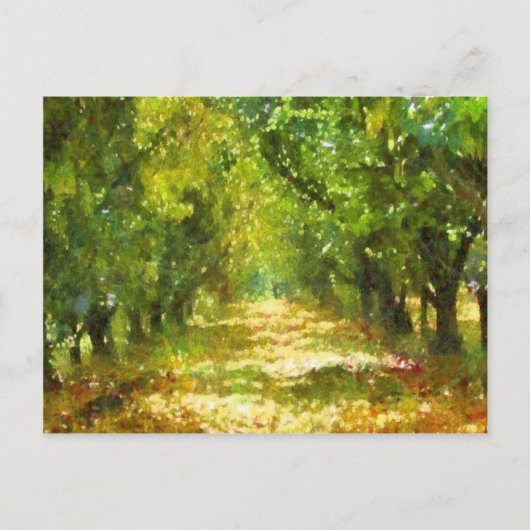 Dapapped Light of Day Dreams Tree Avenue Art Briefkaart (Voorkant)