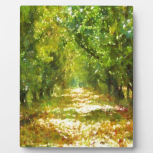 Dapapped Light of Day Dreams Tree Avenue Art Fotoplaat
