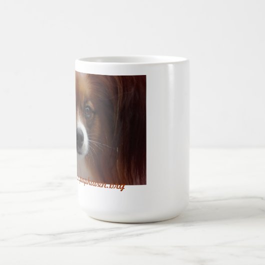 DAPF-MOK KOFFIEMOK (Center)