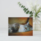 Daphne Briefkaart (Staand voorkant)