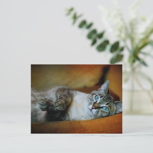 Daphne Briefkaart (Staand voorkant)