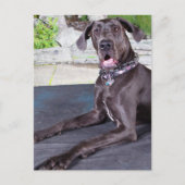 Daphne Briefkaart (Voorkant)