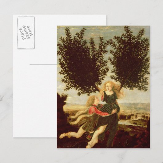 Daphne en Apollo, c.1470-80 Briefkaart (Voorkant / Achterkant)