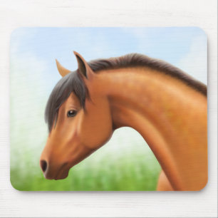 Dapped Bay Arabian Horse Muismat
