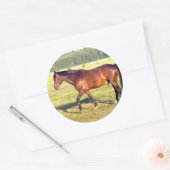 Dapped Bay Ronde Sticker (Envelop)