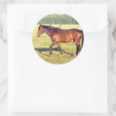 Dapped Bay Ronde Sticker (Tas)