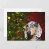 Dapped Dachshund Kerstmis Feestdagenkaart (Voorkant / Achterkant)