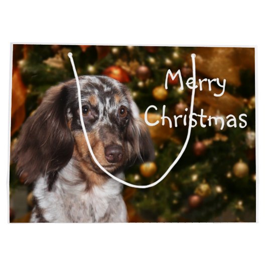 Dapped Dachshund Kerstmis Groot Cadeauzakje (Achterkant)