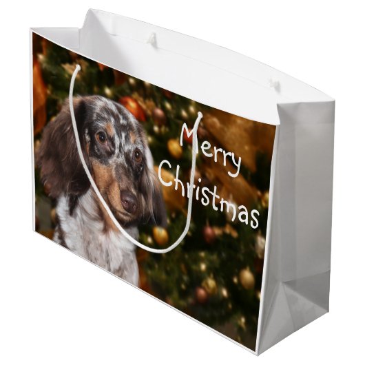 Dapped Dachshund Kerstmis Groot Cadeauzakje (Achterkant Gekanteld)