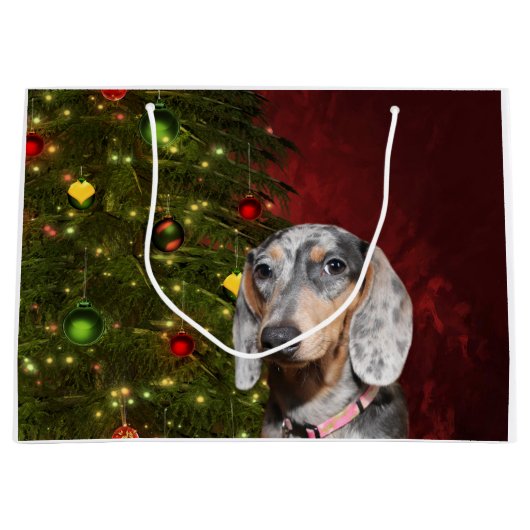 Dapped Dachshund Kerstmis Groot Cadeauzakje (Voorkant)