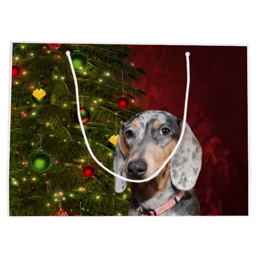 Dapped Dachshund Kerstmis Groot Cadeauzakje (Achterkant)