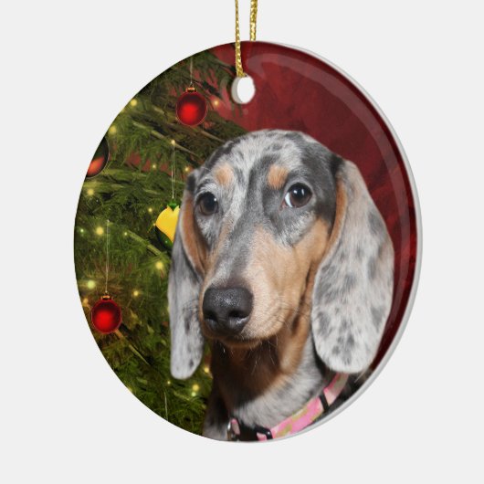 Dapped Dachshund Kerstmis Keramisch Ornament (Links)
