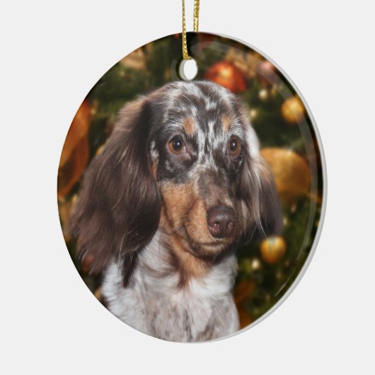 Dapped Dachshund Kerstmis Keramisch Ornament (Links)