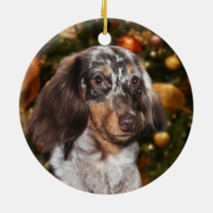 Dapped Dachshund Kerstmis Keramisch Ornament