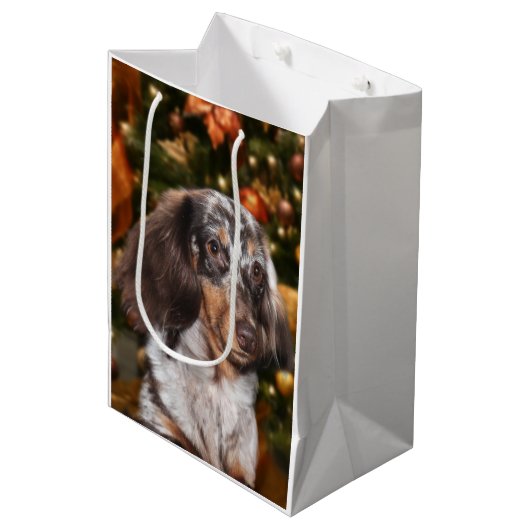 Dapped Dachshund Kerstmis Medium Cadeauzakje