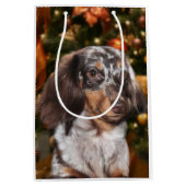 Dapped Dachshund Kerstmis Medium Cadeauzakje (Voorkant)