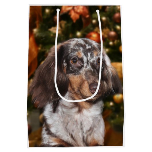 Dapped Dachshund Kerstmis Medium Cadeauzakje (Achterkant)