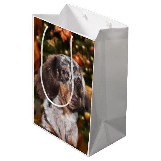 Dapped Dachshund Kerstmis Medium Cadeauzakje (Achterkant Gekanteld)