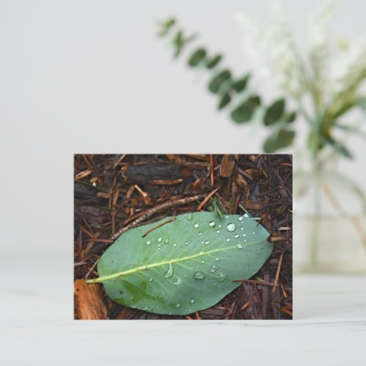 Dapped Leaf Briefkaart (Staand voorkant)