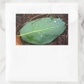 Dapped Leaf Rechthoekige Sticker (Tas)